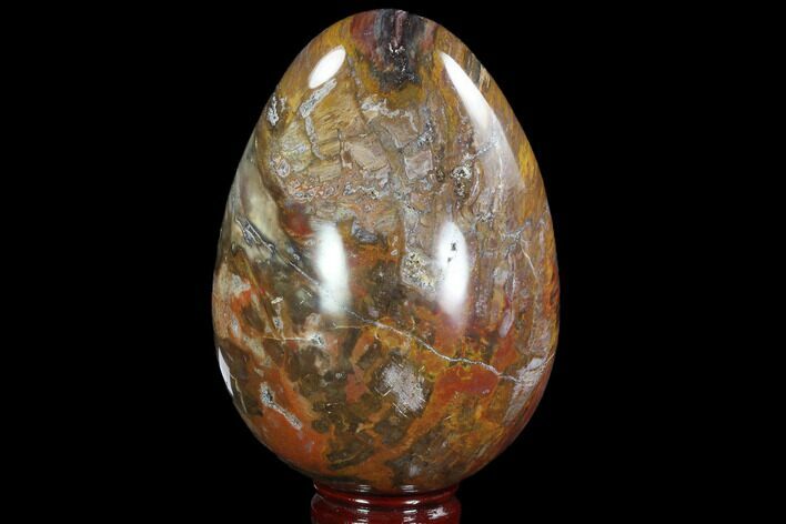 Colorful, Polished Petrified Wood Egg - Triassic #92413